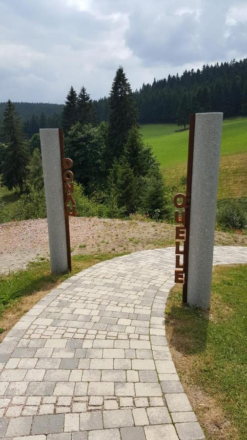 Schwarzwald Geht Immer Fewo 60 Qm Mit Grossem Suedbalkon, Wlan Und Magenta Tv Schönwald Ngoại thất bức ảnh