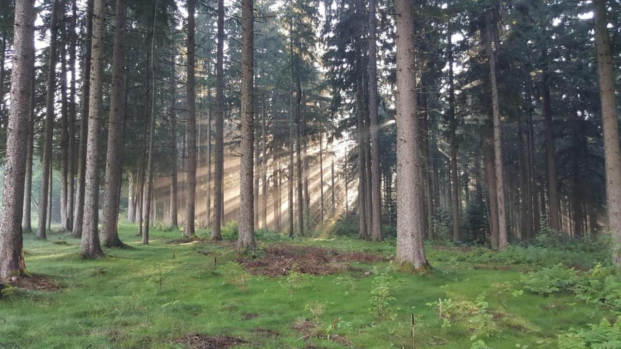 Schwarzwald Geht Immer Fewo 60 Qm Mit Grossem Suedbalkon, Wlan Und Magenta Tv Schönwald Ngoại thất bức ảnh
