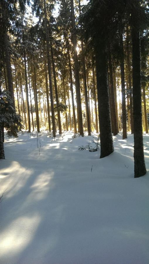 Schwarzwald Geht Immer Fewo 60 Qm Mit Grossem Suedbalkon, Wlan Und Magenta Tv Schönwald Ngoại thất bức ảnh